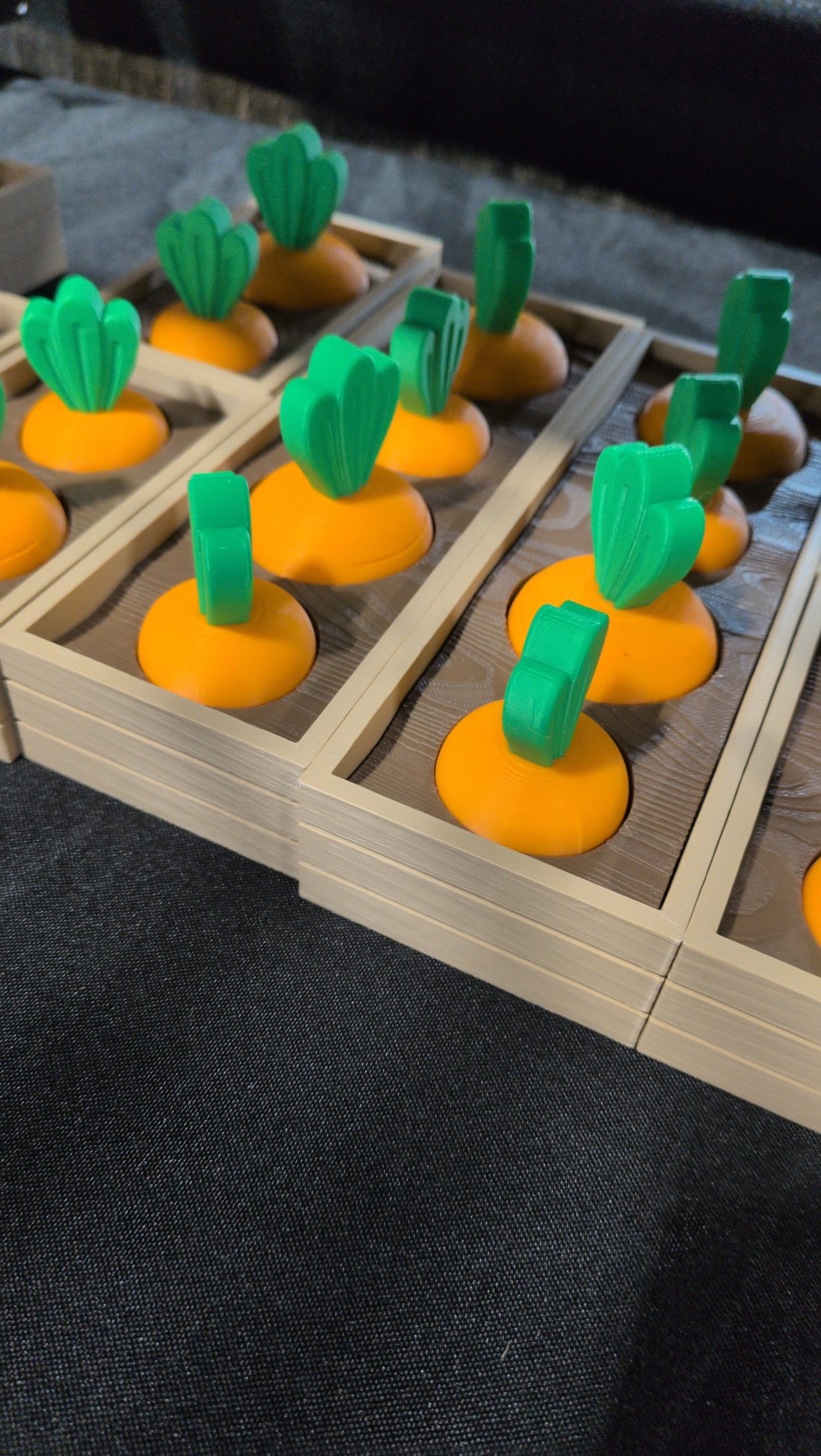 Carrot bed