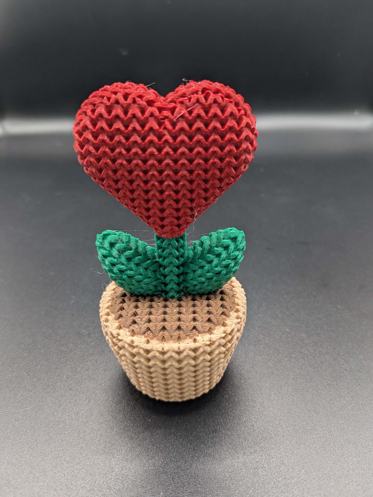 Knitted Heart Plant