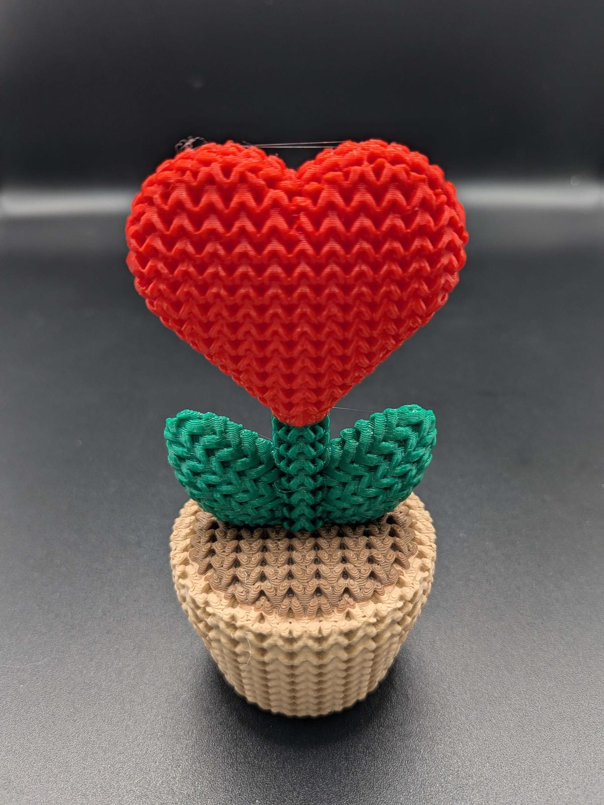 Knitted Heart Plant