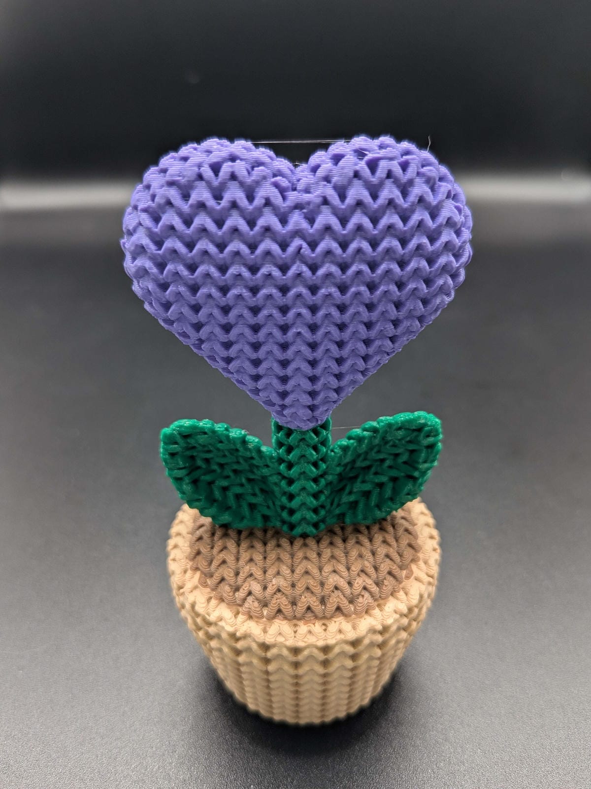 Knitted Heart Plant