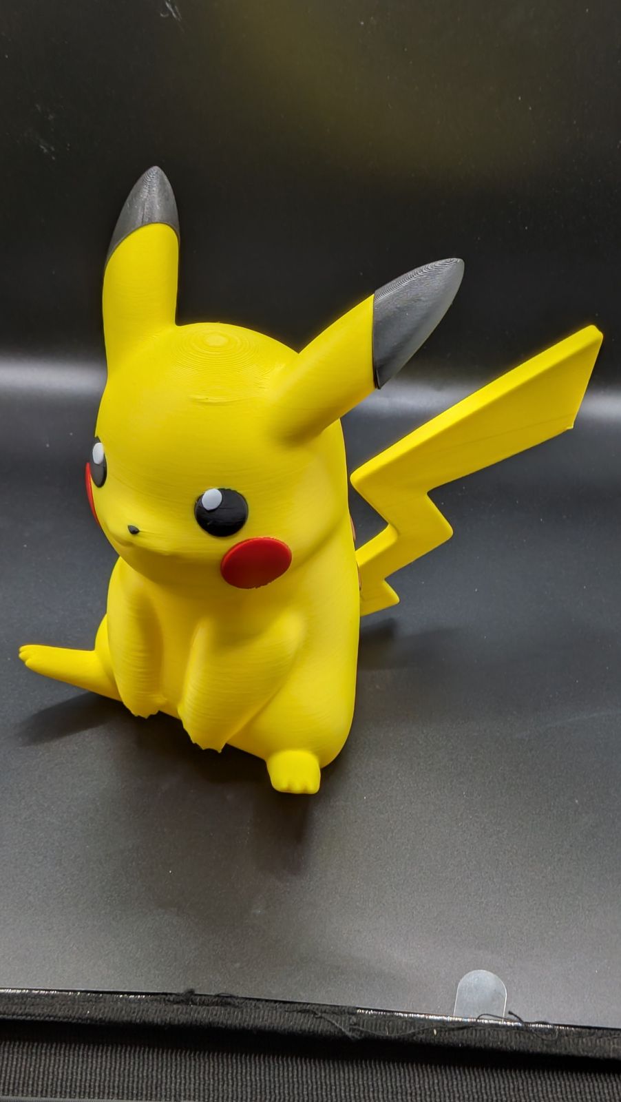 Large Pokemon