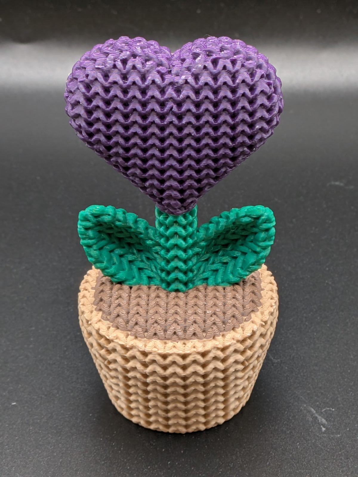 Knitted Heart Plant