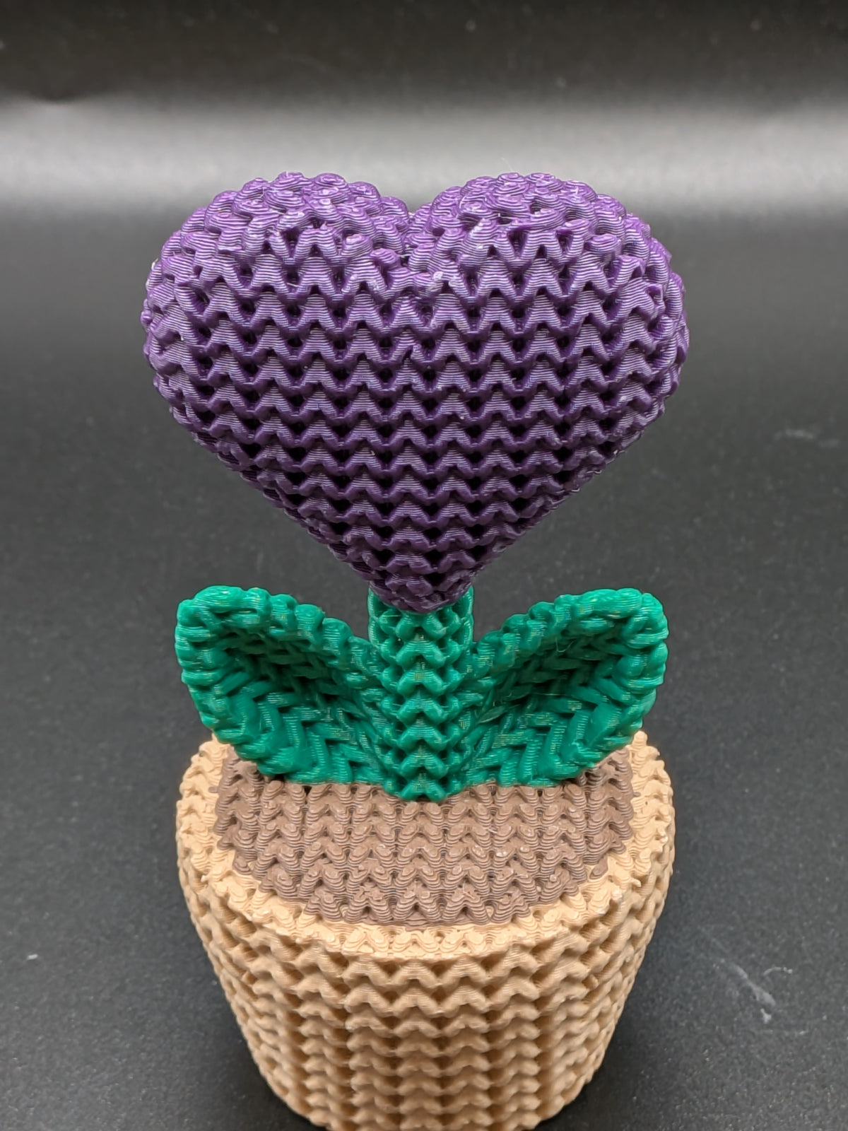 Knitted Heart Plant